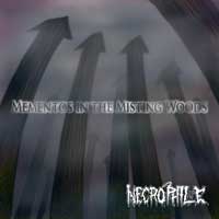 Necrophile - Mementos In The Misting Woods