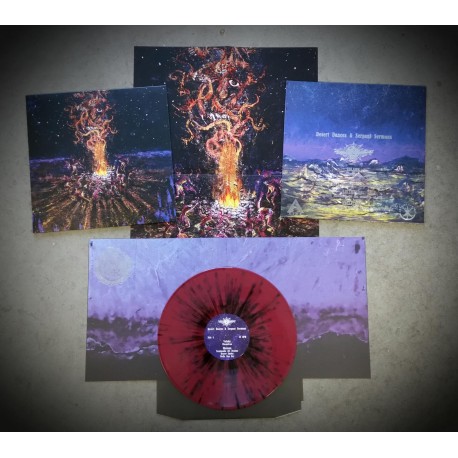 desert-dances-serpent-sermons-va-volahnshataanarizmendakallathon-lp-booklet-poster-ibp-version