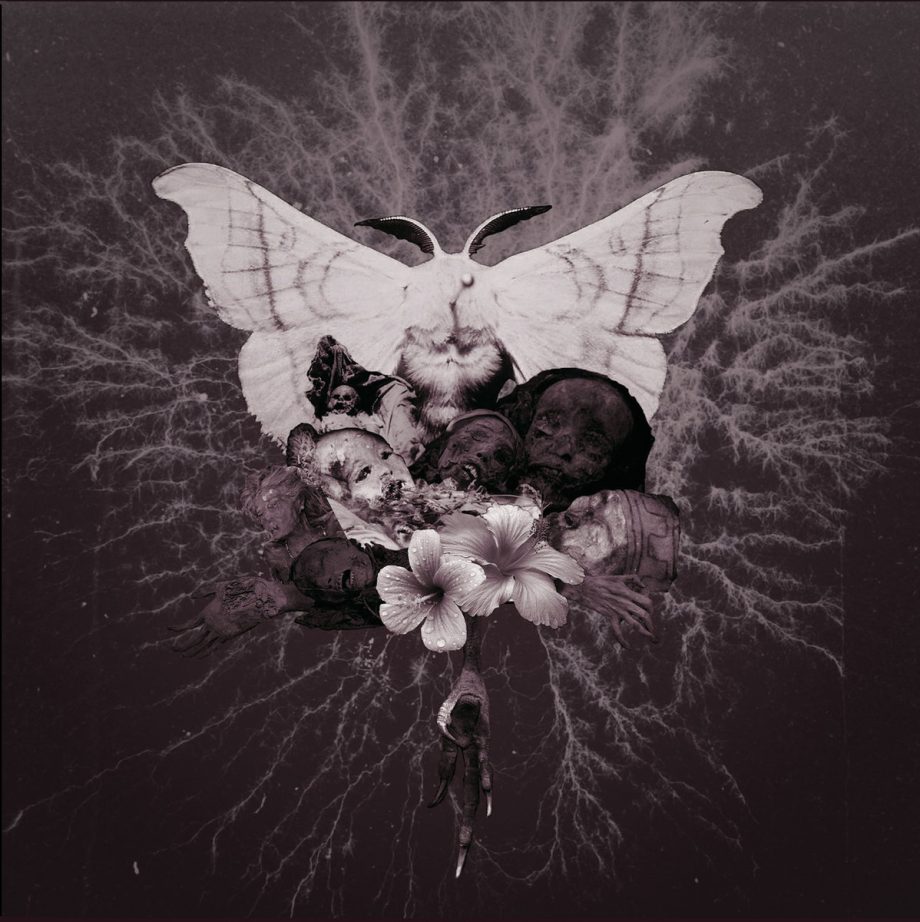 CELESTIAL GRAVE  - Pvtrefactio 7'' (Restock)