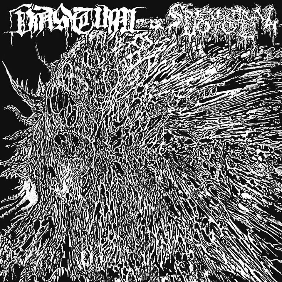 Spectral Voice 7" split Vastum