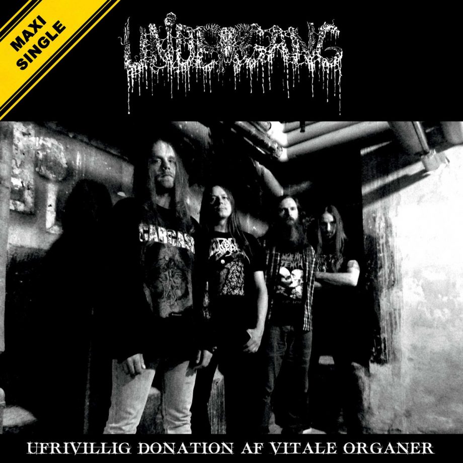 Undergang Maxi Single