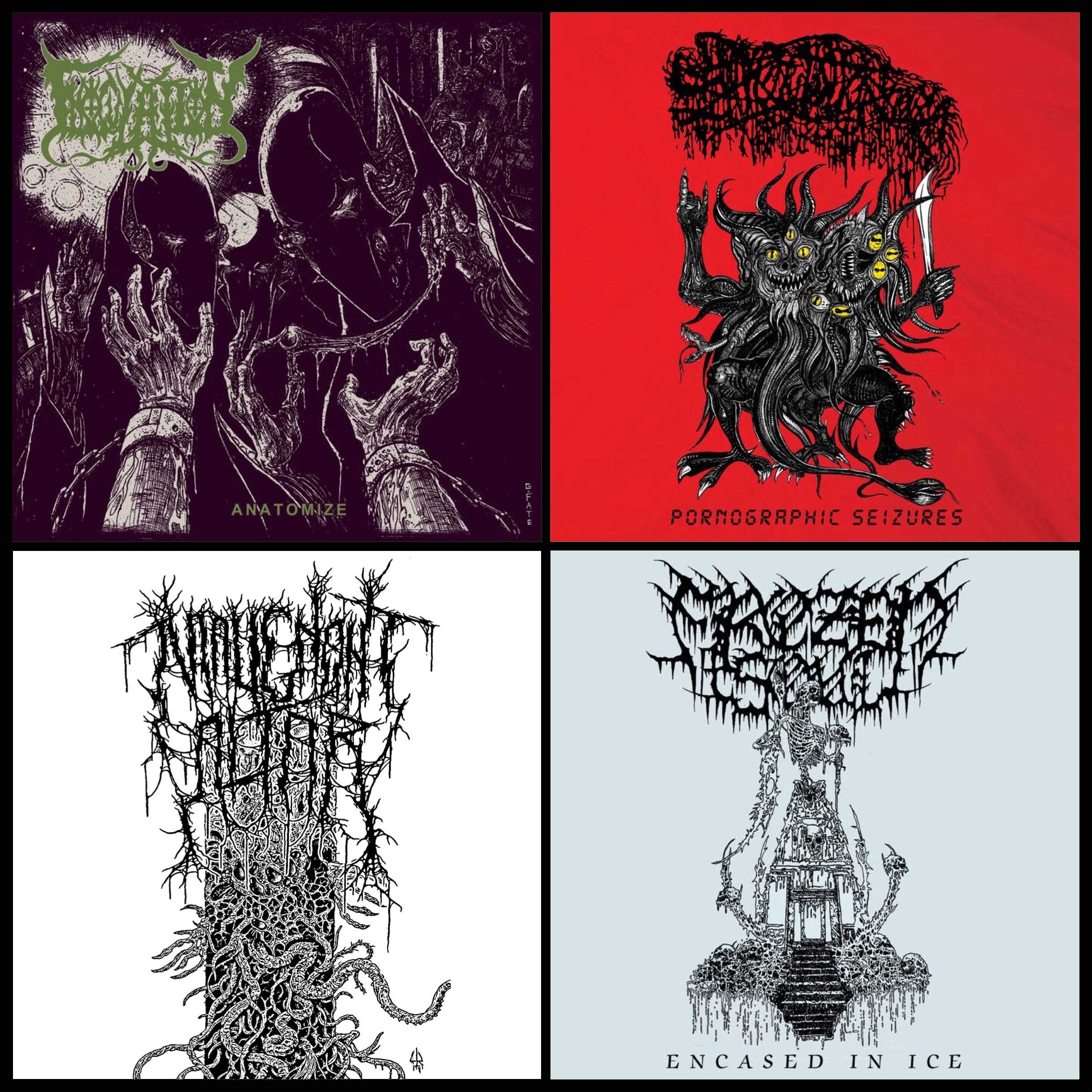 Maggot Stomp releases