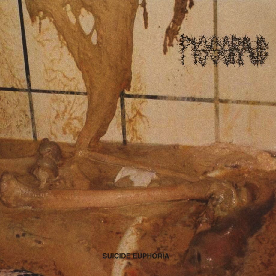 Pissgrave ‎– Suicide Euphoria LP