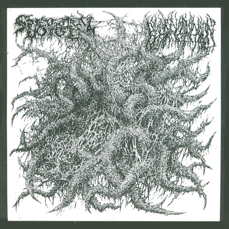 Spectral Voice / Blood Incantation – Split 7″ cover