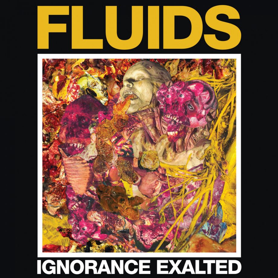 FLUIDS - Ignorance Exalted CD