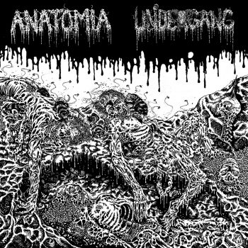 Undergang / Anatomia split LP artwork