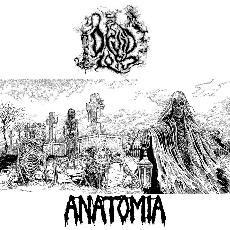 Anatomia / Druid Lord – Split