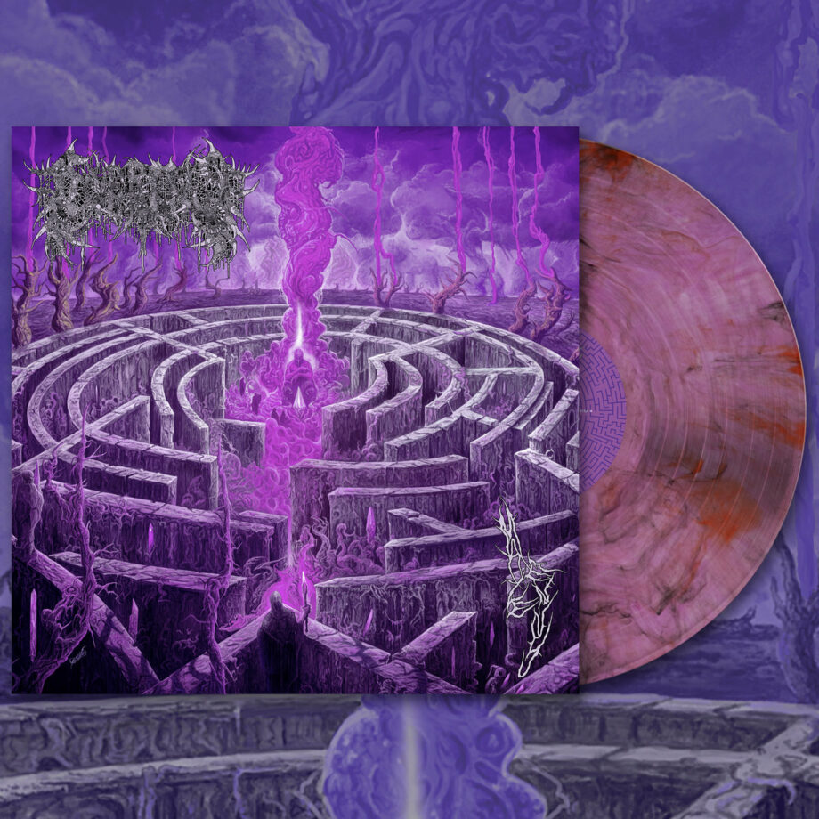 Civerous - Maze Envy LP