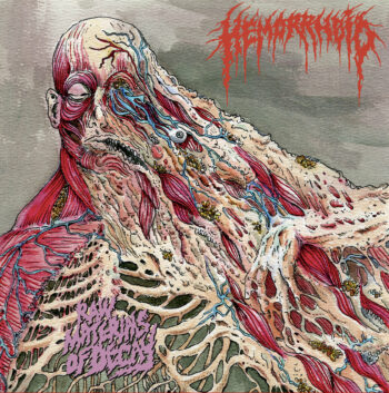HEMORRHOID - Raw Materials of Decay CD