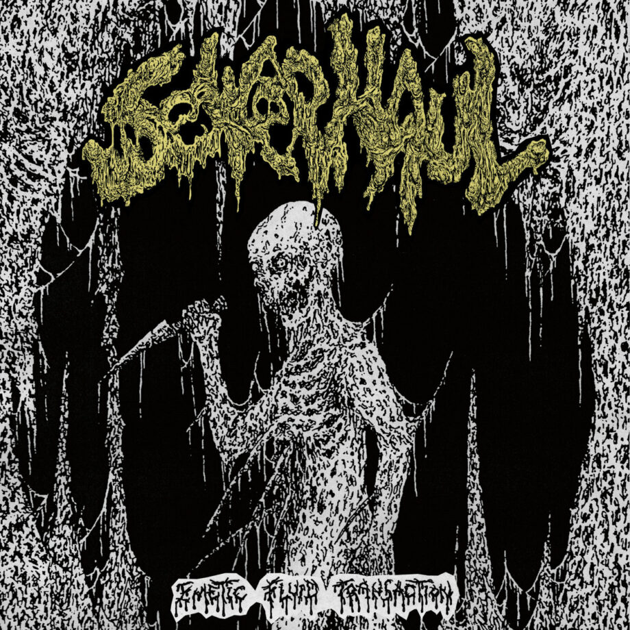 SEWER HAUL - Emetic Fluid Transaction 7''