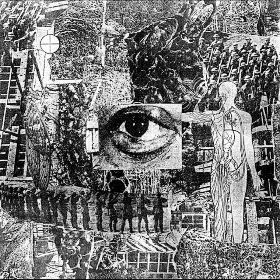 Erosion - Invasive Species LP
