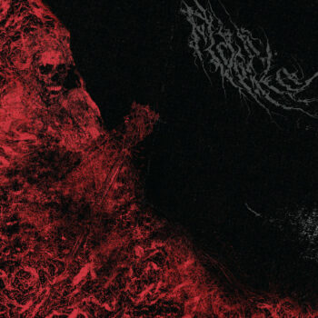 FLAGELO - Insaciable MLP