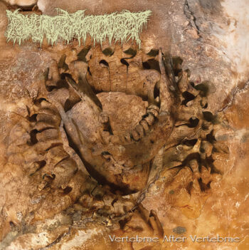 PHARMACIST - Vertebrae After Vertebrae  CD