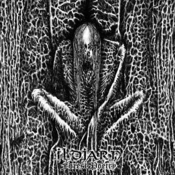 Ildjarn – Forest Poetry DLP