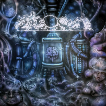 FAKE DUST - Decrepitizing Din Of The Cerebral Psyopticon LP