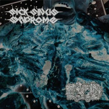 SICK SINUS SYNDROME / EAT THE DECAY Split LP