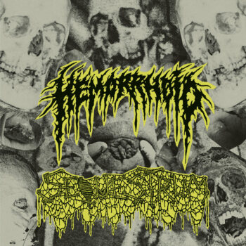 HEMORRHOID / SEQUESTRUM - SPLIT 7''